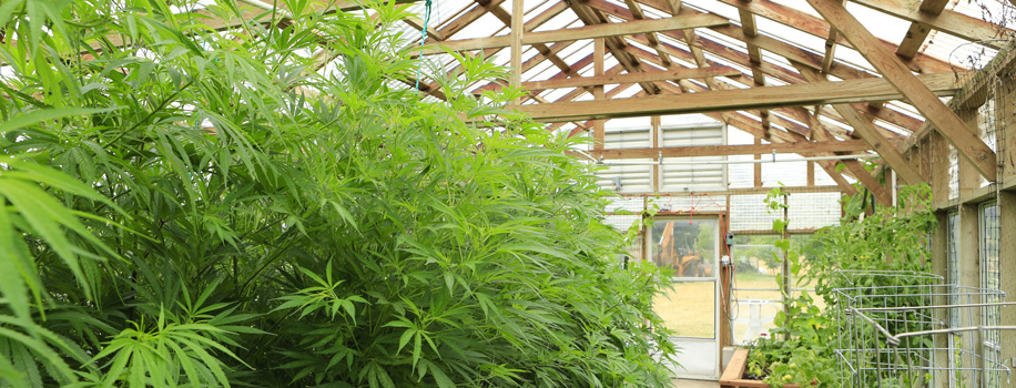 Security Solutions for Apartments in Memphis, TN